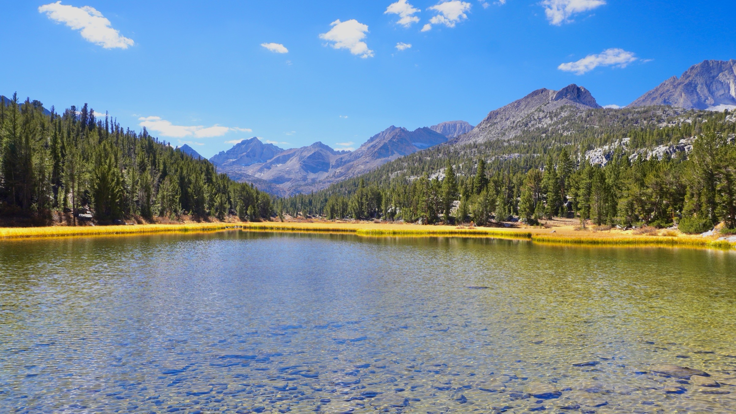 Clear water at Marsh Lake surrounded by pine forest and granite peaks in Little Lakes Valley