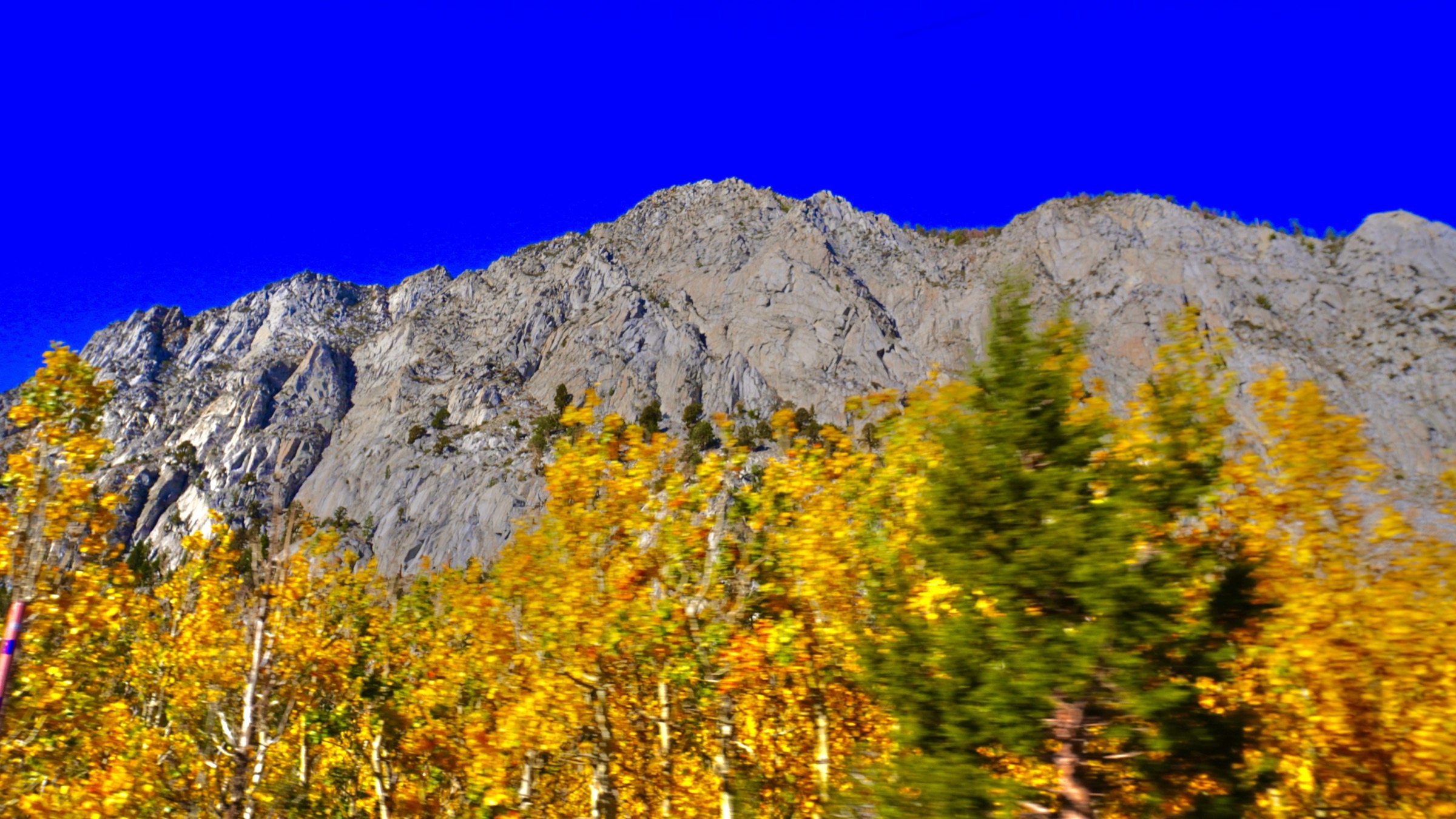 Golden fall trees beneath granite mountains in California's Eastern Sierra