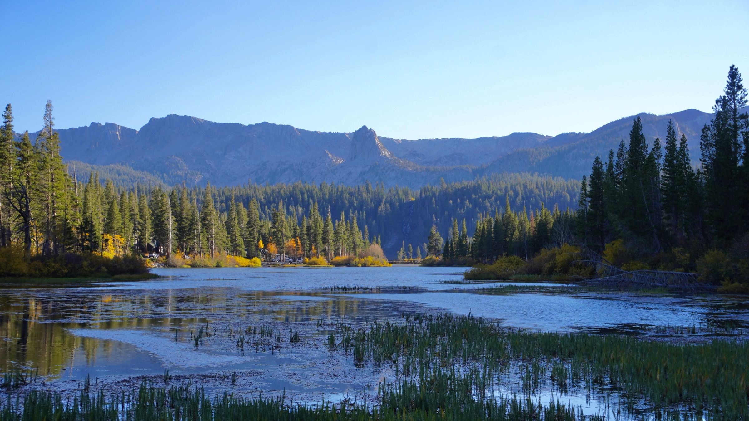A mountain lake framed by pine forest in the Mammoth Lakes area